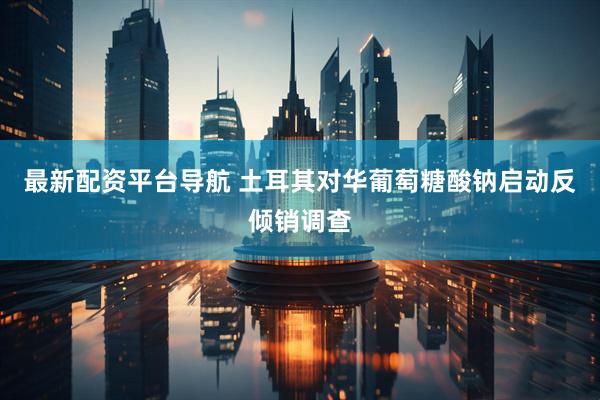 最新配资平台导航 土耳其对华葡萄糖酸钠启动反倾销调查