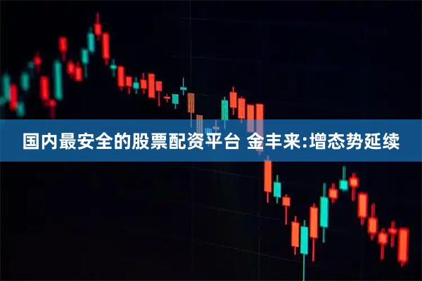 国内最安全的股票配资平台 金丰来:增态势延续